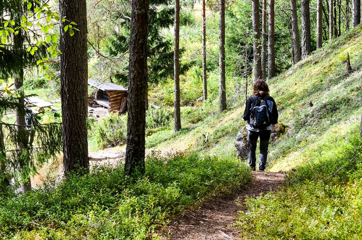 Vandring nedför Branäsberget