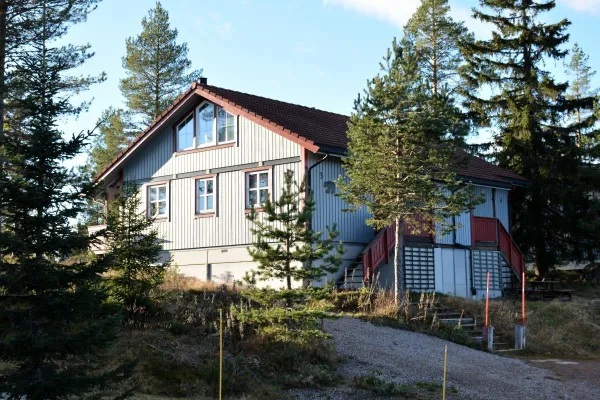 Björnen 3