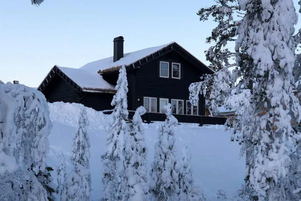 Hjorten 3