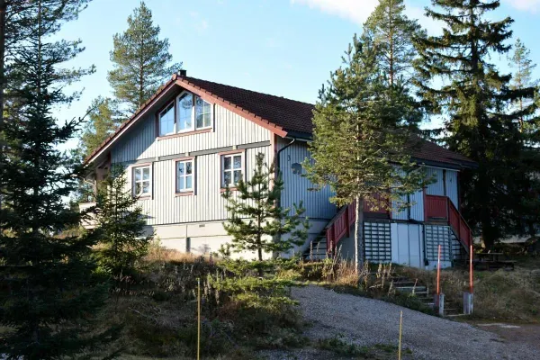 Björnen 3
